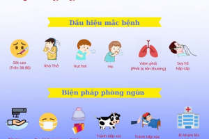 Bài 6: Chia đối tượng thành 6 phần